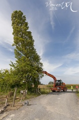 Abattage des arbres pour la construction du nouveau parking 