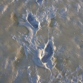 traces de pas dans la boue de la baie du Mont Saint-Michel
