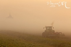 Tracteur dans la brume.