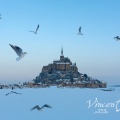 Mont Saint-Michel sous la neige avec mouettes.