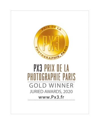 px3-2020-gold.jpg