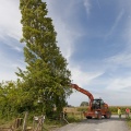 Abattage des arbres pour la construction du nouveau parking 